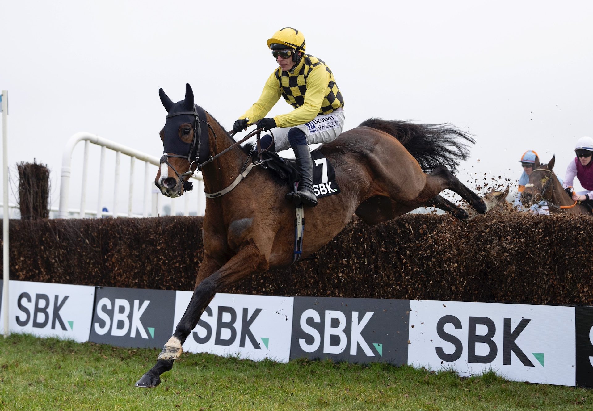 Uncle Phil (Walk In The Park) Wins The Grade 3 Chase At Fairyhouse