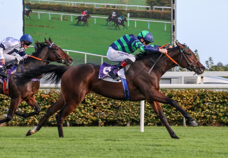 Finsceal Luas (Camelot) Wins Her Maiden At Leopardstown