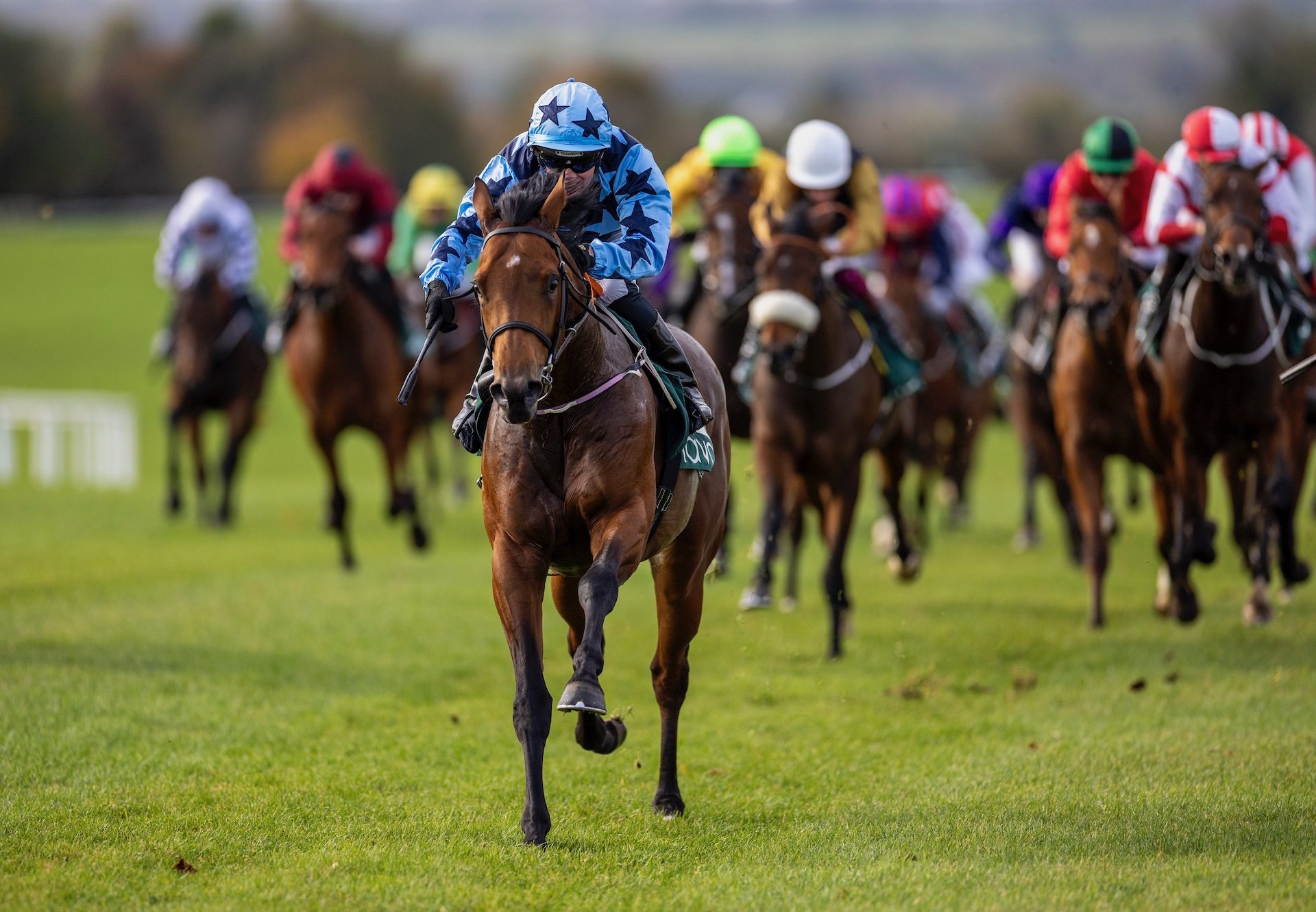 Bodhi Bear (Starspangledbanner) Wins His Maiden At Navan