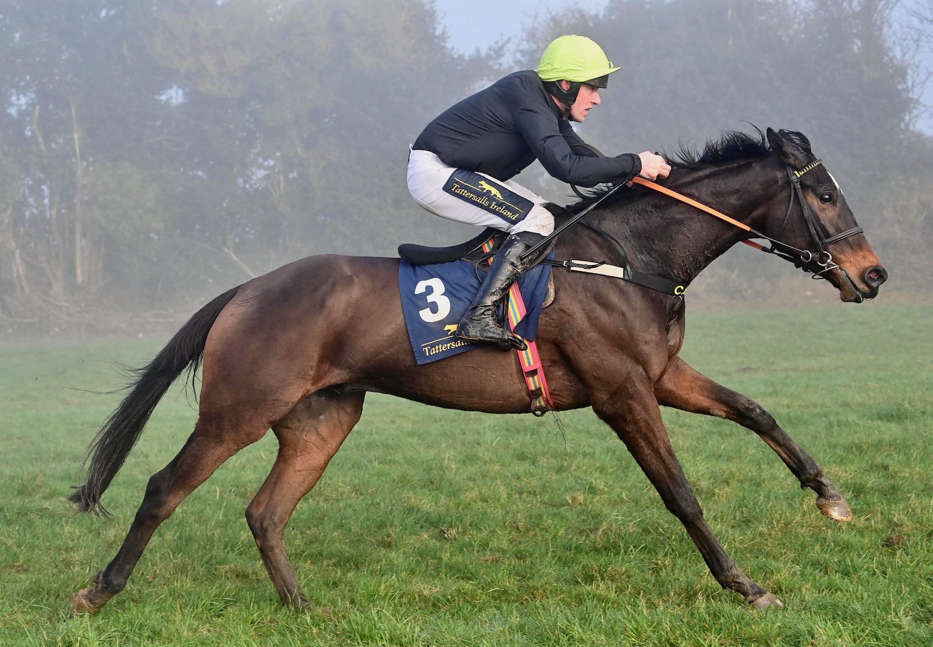 Admiral Stewart (Soldier Of Fortune) Wins The 5YO Maiden At Tinahely