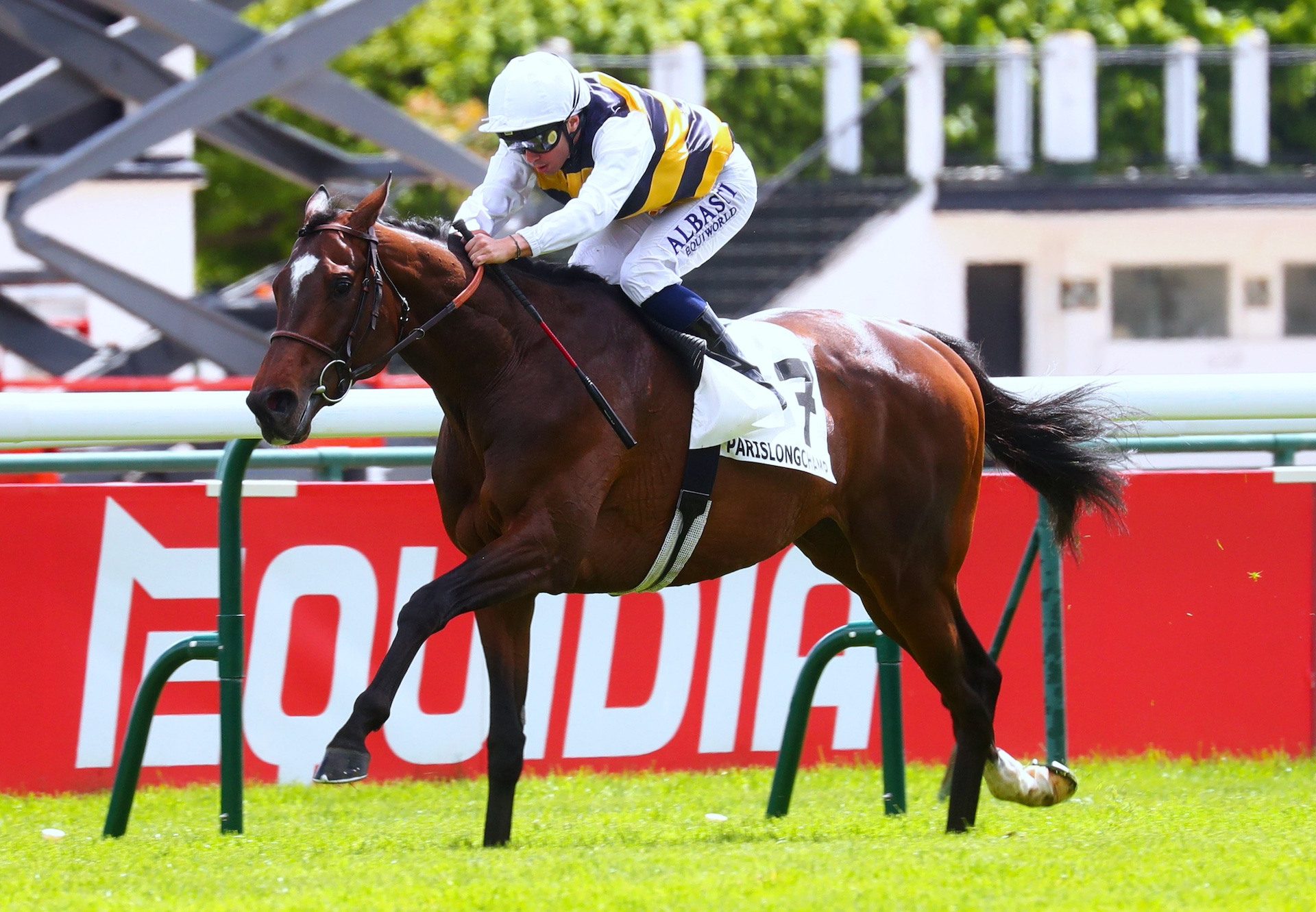 Sevenna’s Knight (Camelot) Wins The Group 3 Prix De Barbeville