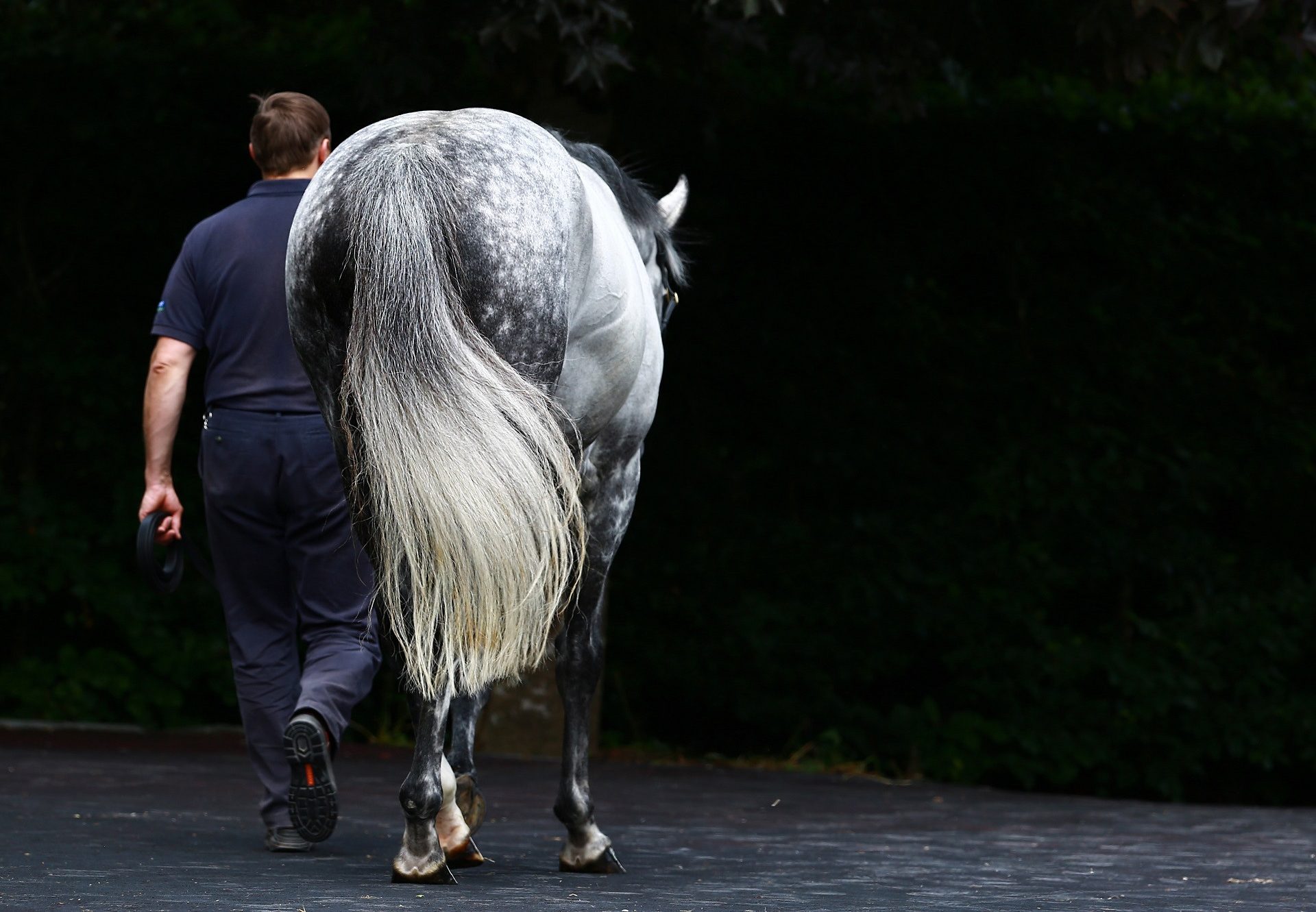 Mastercraftsman Walking