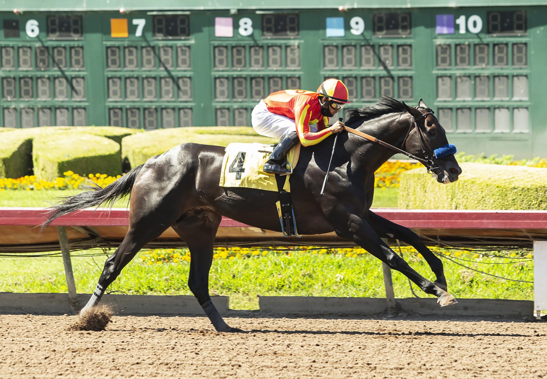 Uncle Chuck (Uncle Mo) Winning G3 Los Al Derby