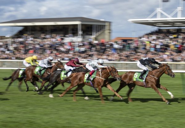 Millisle (Starspangledbanner) winning the Gr.1 Cheveley Park Stakes at Newmarket