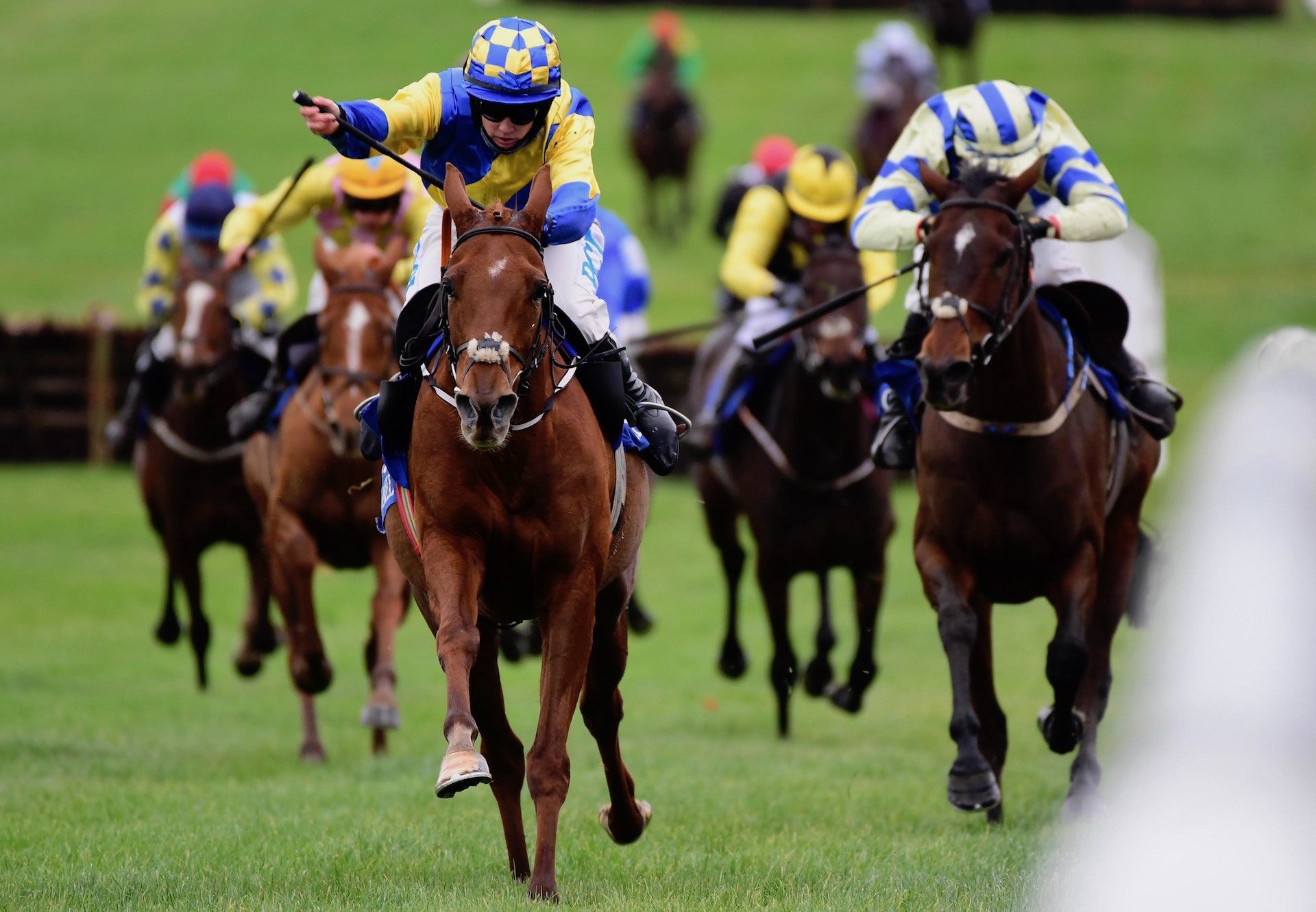 Boher Cailin (Mahler) Wins The Mares Maiden Hurdle At Clonmel