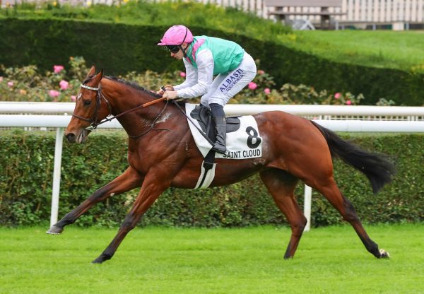 Percival (Camelot) Wins At Saint Cloud