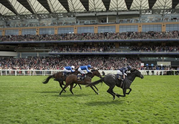 Caravggio winning the G1 Commonwealth Cup