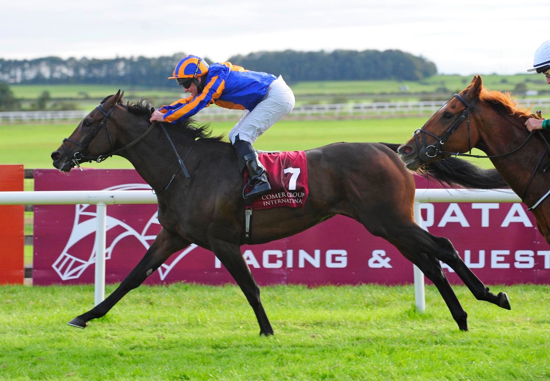 Dawn Patrol (Galileo) Wins The Gr.3 Loughbrown Stakes at the Curragh