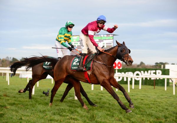 Roaring Bull (Milan) Wins The Paddy Power Chase At Leopardstown