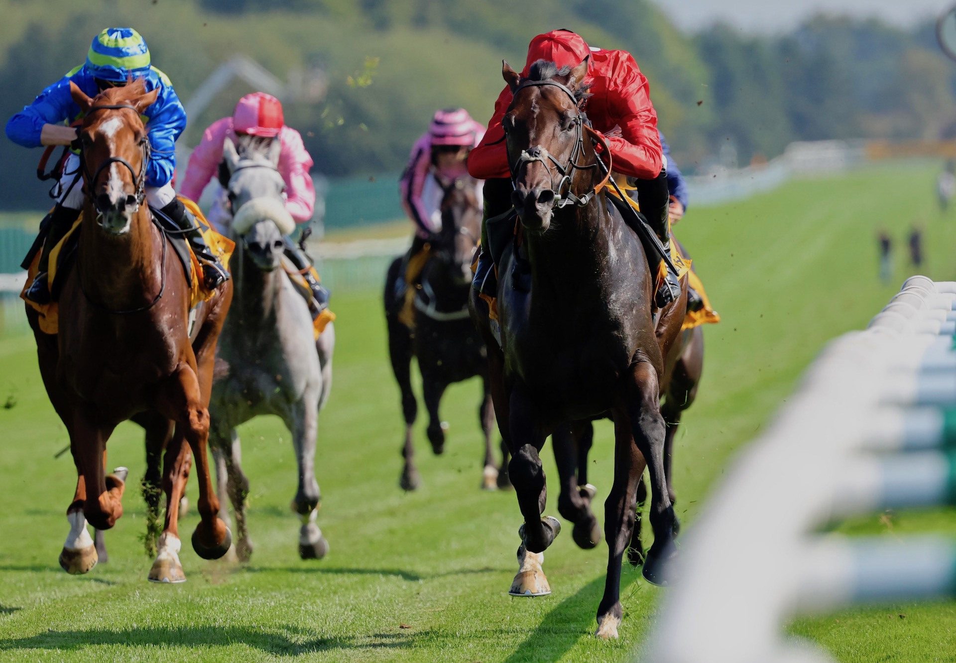 Chindit (Wootton Bassett) Wins The Group 3 Superier Mile Stakes at Haydock