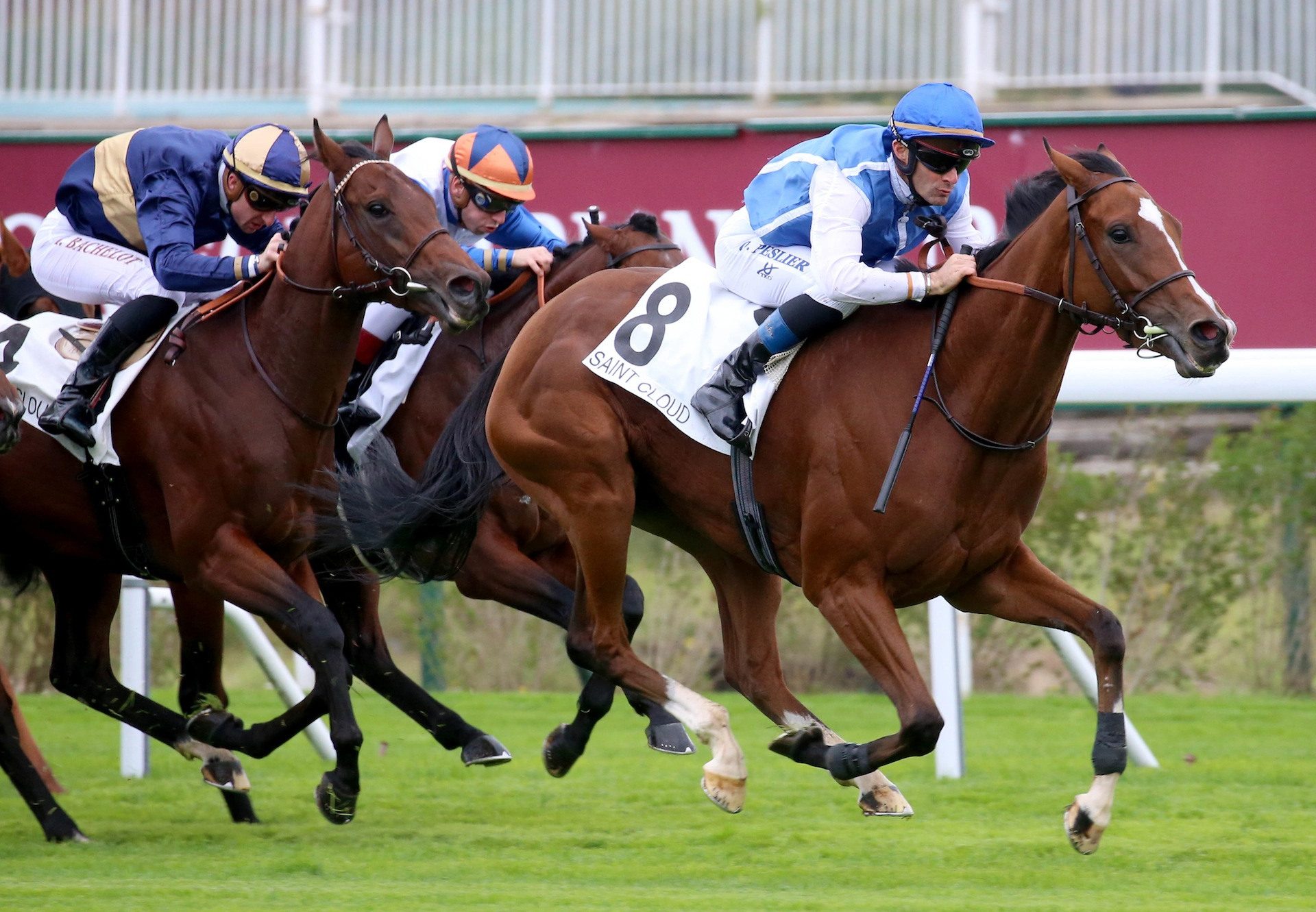 Matematica (Rock Of Gibraltar) winning the Listed Prix Matchem at Saint-Cloud