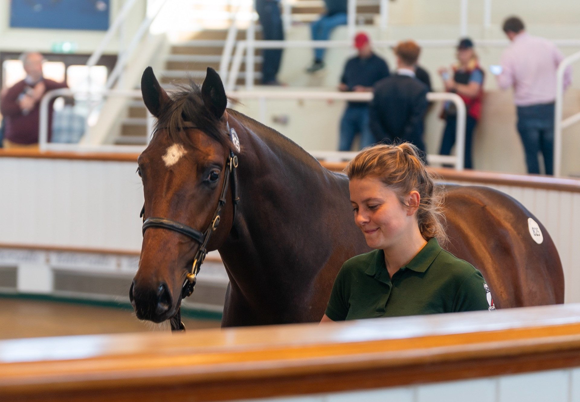 Camelot Colt Ex Winning Ways Sells For 250000gns at Tattersalls Bk 2