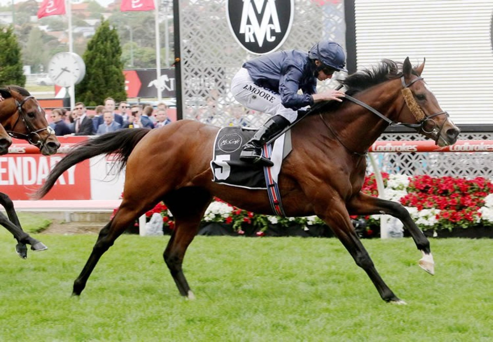 Hunting Horn (Camelot) winning the Gr.2 MVRC Moonee Valley Gold Cup