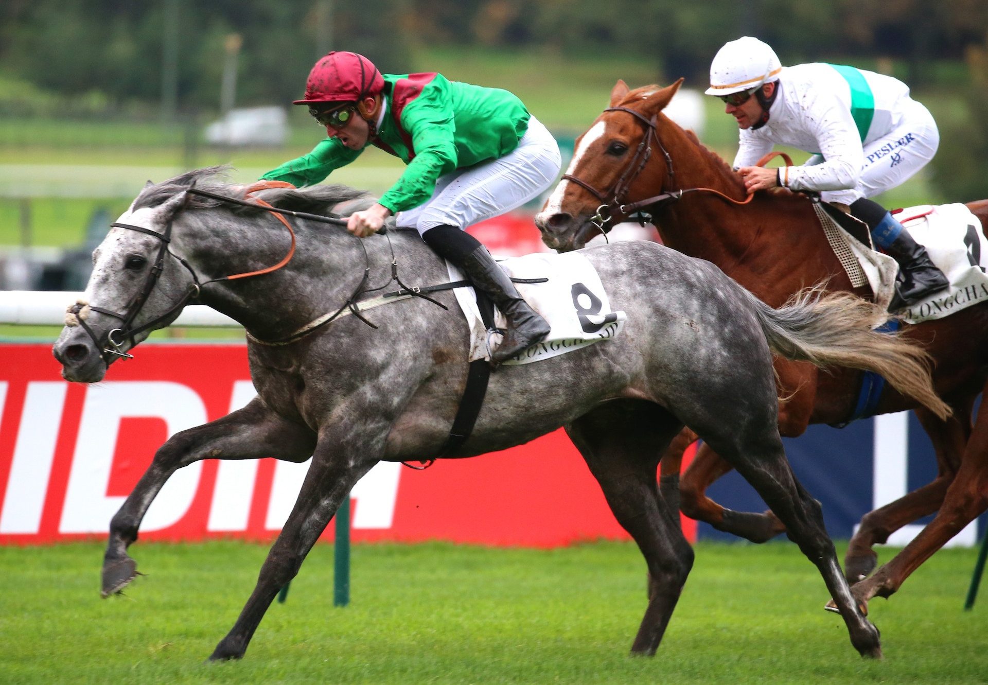 Technician (Mastercraftsman) wins the Gr.1 Prix Royal Oak at Longchamp