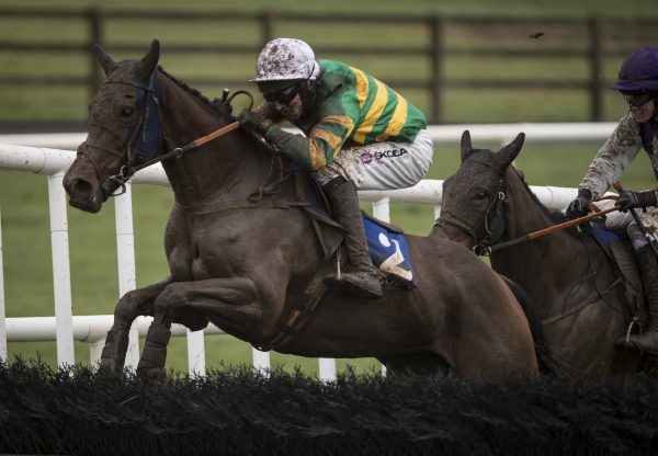 Getaway Katie Mai (Getaway) Scores Over Hurdles