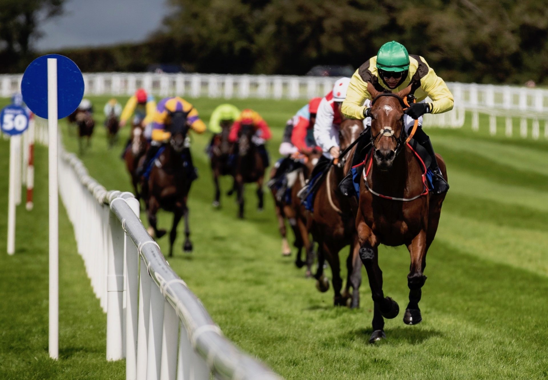 Fairyhill Run (Mahler) Wins The Mares Maiden Hurdle At Ballinrobe