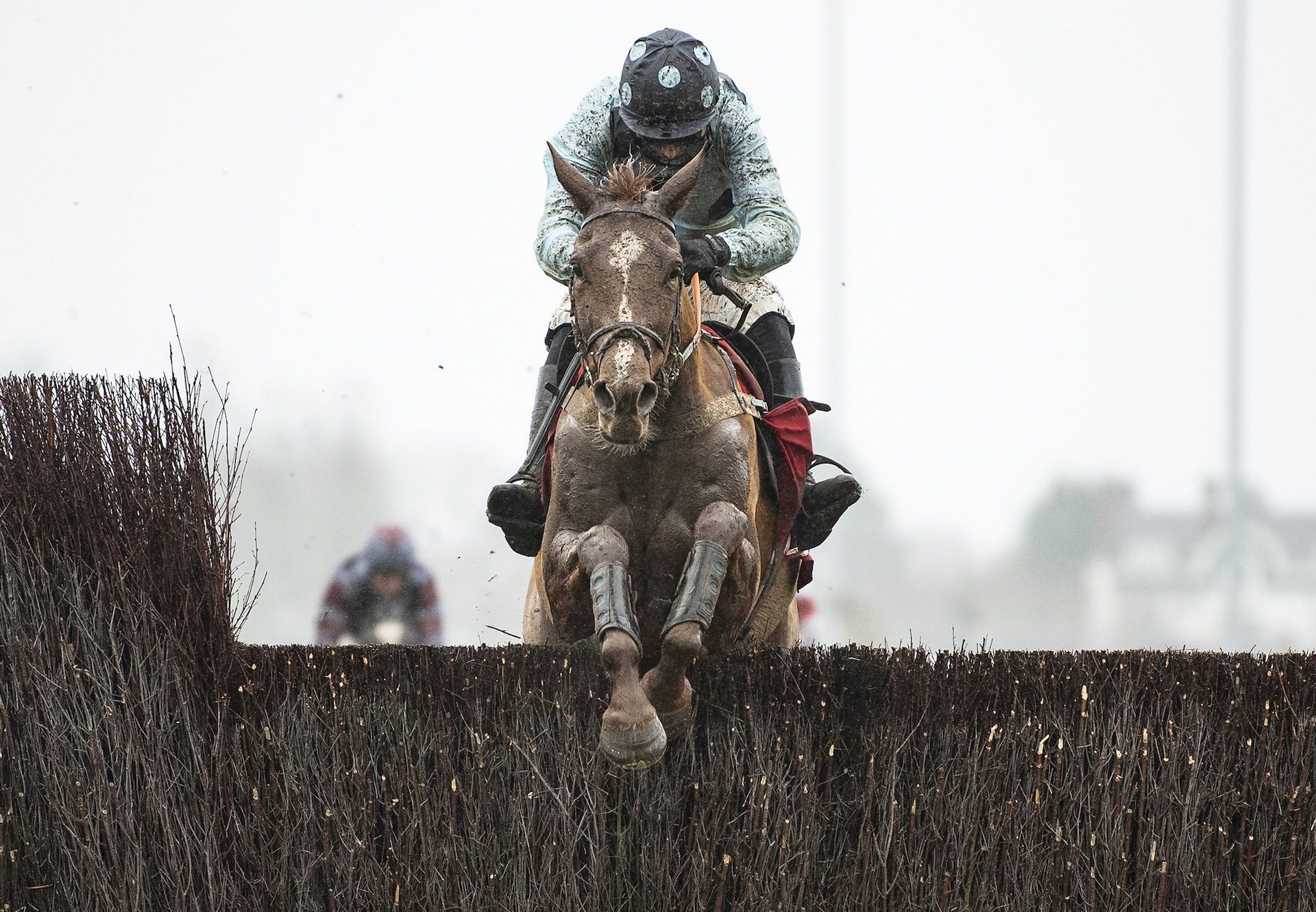 Commache Red (Mahler) Wins At Kempton Cropped