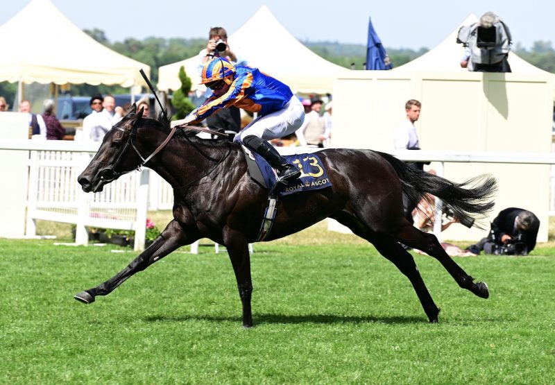 Meditate (No Nay Never) Wins The Group 3 Albany Stakes At Royal Ascot