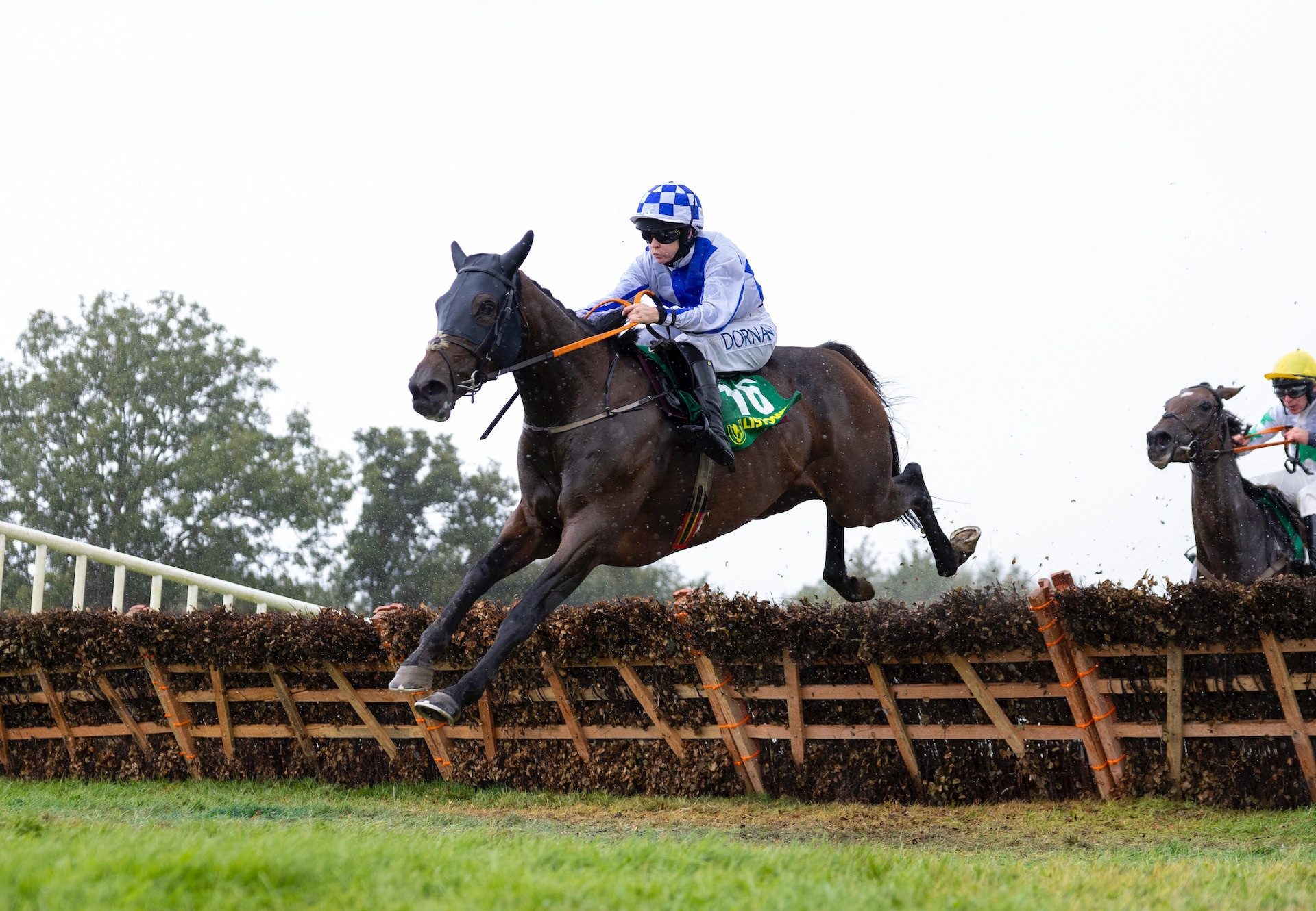 Mayor’s Walk (Walk In The Park) Wins On Rules Debut at Listowel