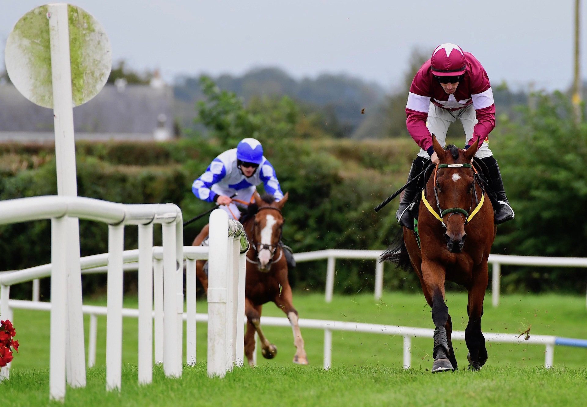 Deployed (Mahler) Impresses Over Hurdles At Kilbeggan