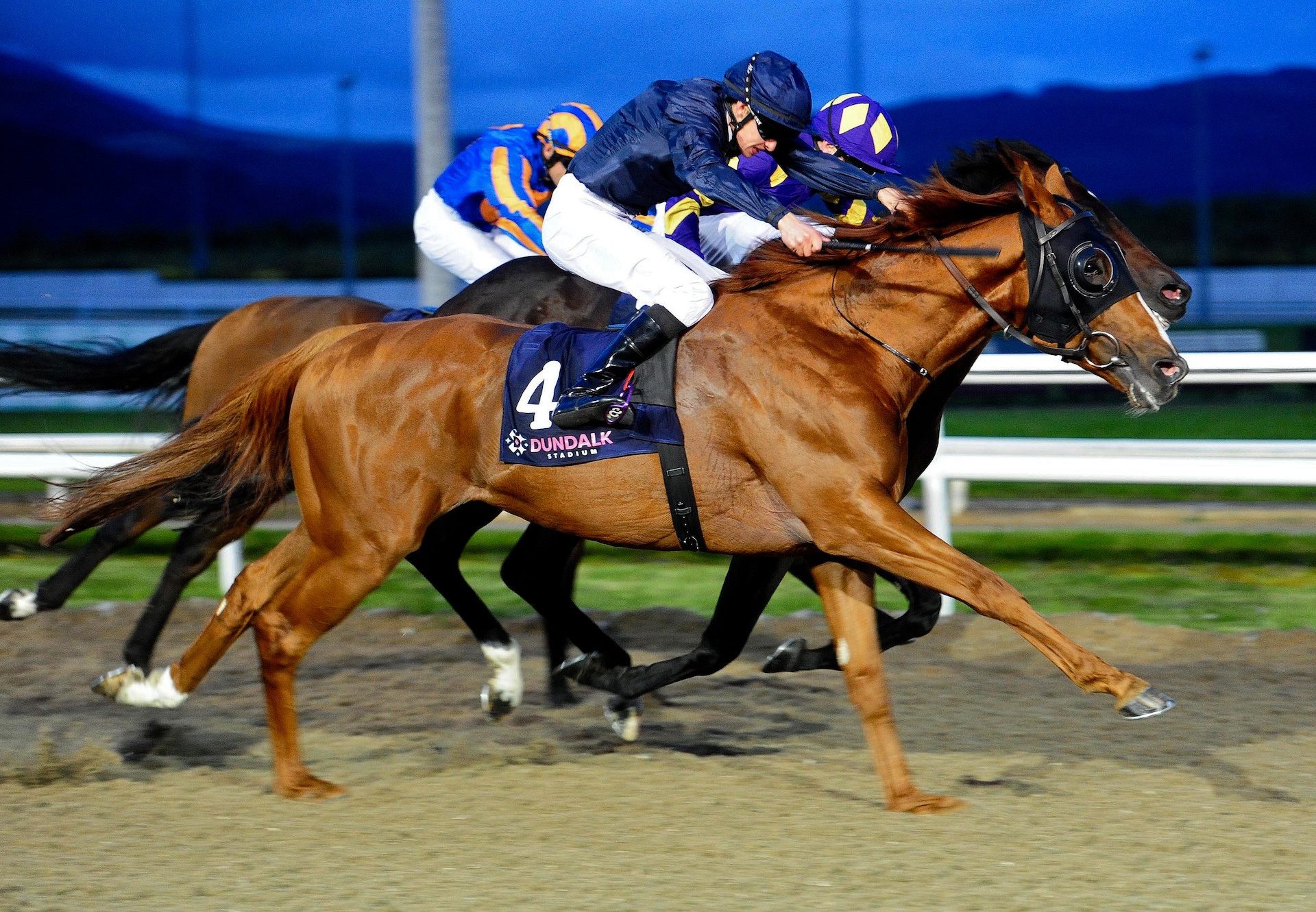 Blenheim Palace (Galileo) Wins The Gr.3 Diamond Stakes at Dundalk