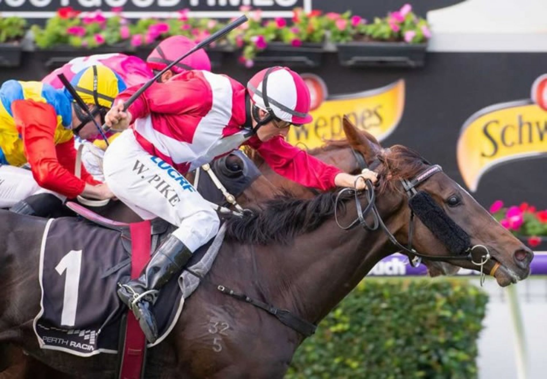 Regal Power (Pierro) winning the G2 West Australian Derby at Ascot