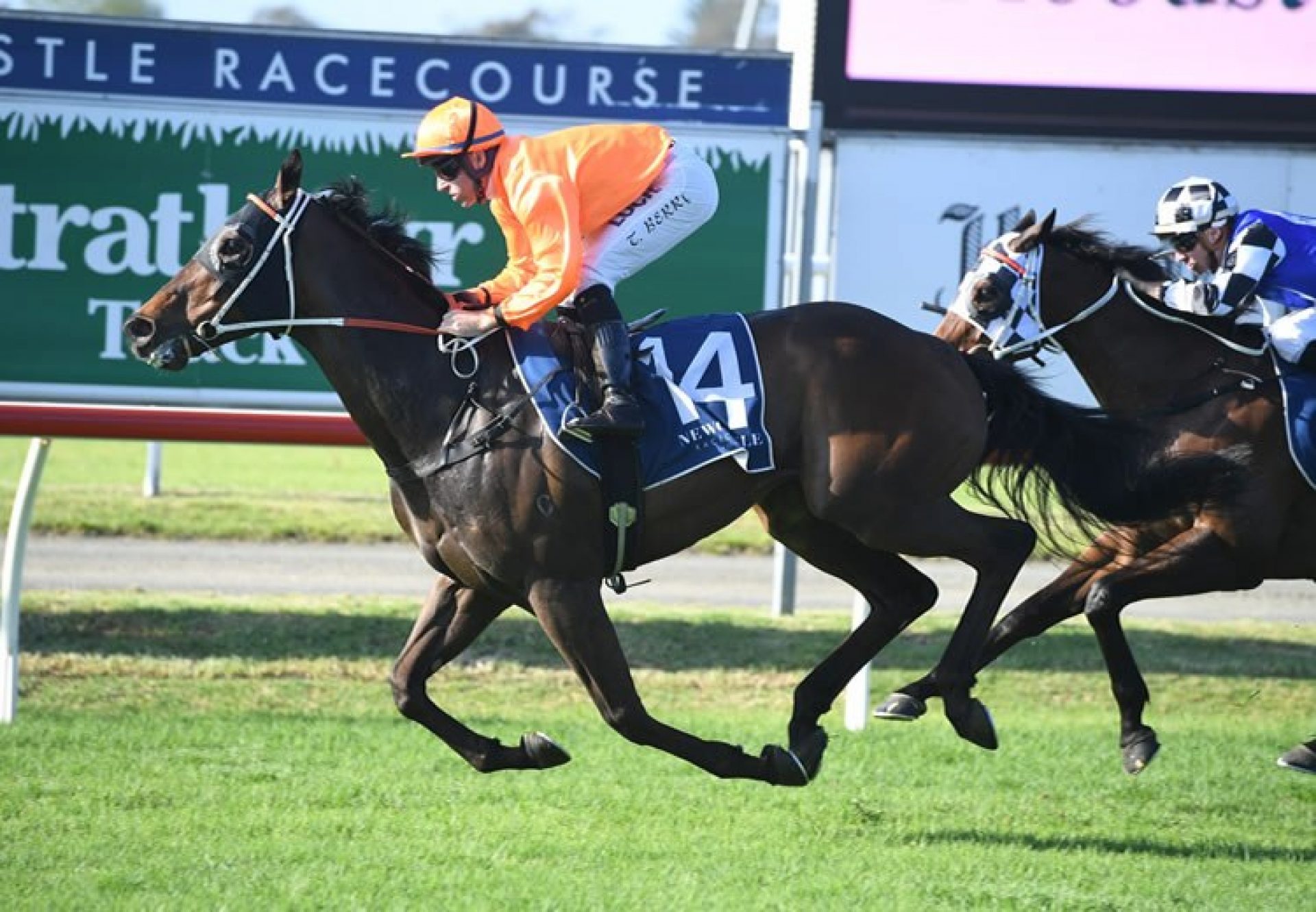 Rock (Pierro) winning the Gr.3 Cameron Handicap at Newcastle