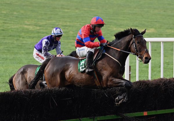 Ballygelly (Soldier Of Fortune) Wins The Mares Maiden At Moira