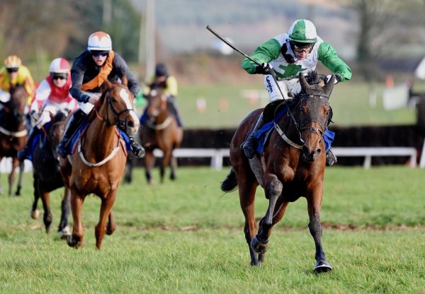 Roxhill Rosie (Getaway( Wins The 5YO Mares Maiden At Dromahane