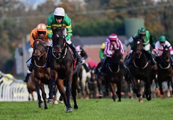 Down Memory Lane (Walk In The Park) Wins The Maiden Hurdle At Down Royal