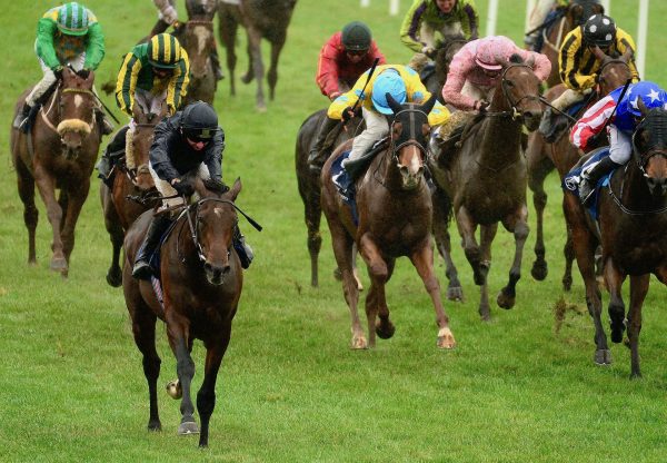 Hector De Maris (Camelot) Wins At Naas