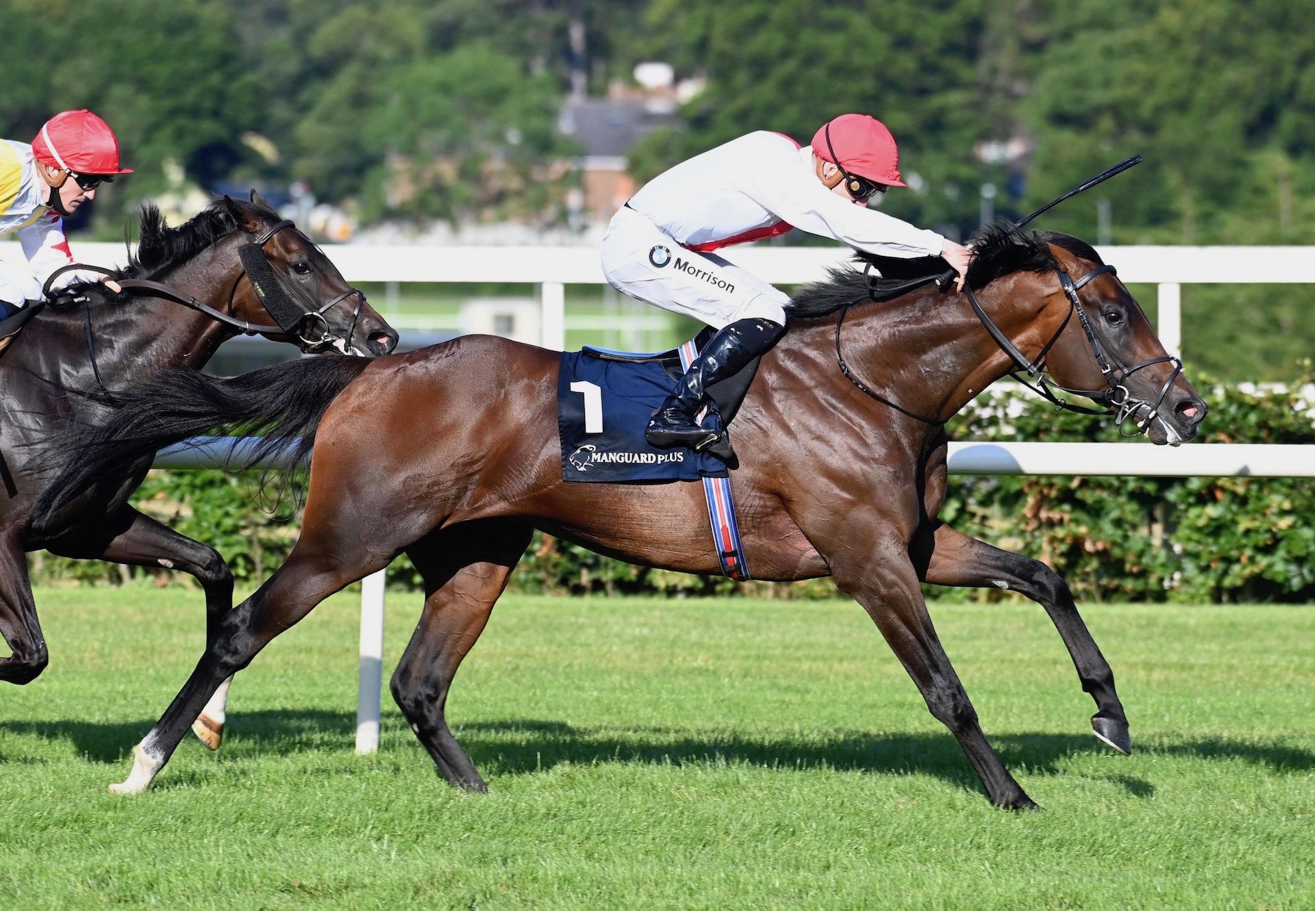 Gaheris (Camelot) Wins The Manguard Plus Maiden At Leopardstown