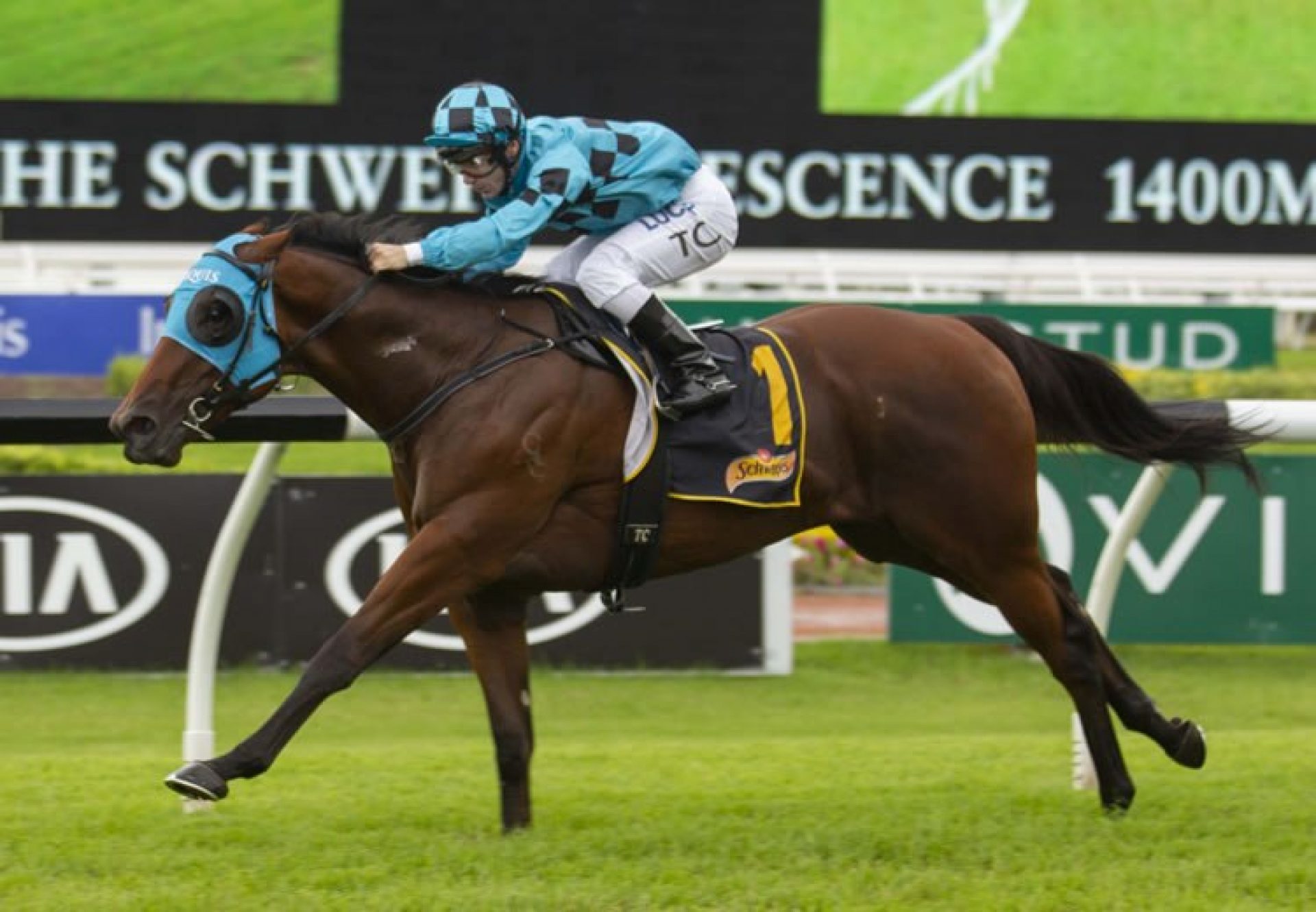 Bellevue Hill (Pierro) winning the G3 ATC The Schweppervescence at Rosehill