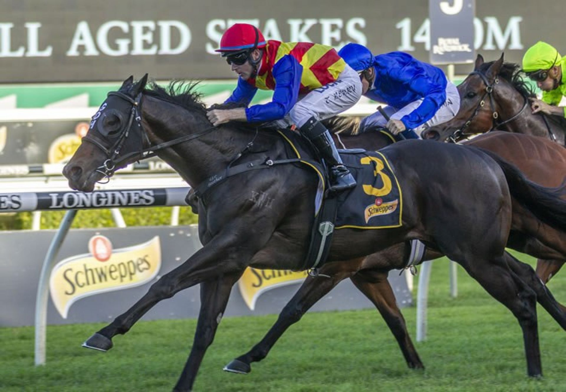 Pierata (Pierro) winning the G1 All Aged Stakes at Randwick