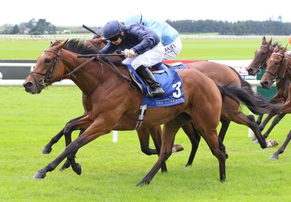 Divinely (Galileo) Wins The Group 3 Flame Of Tara Stakes at the Curragh