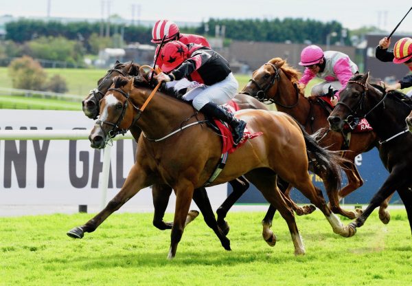 Current Option (Camelot) Wins The Ahonoora Handicap At Galway