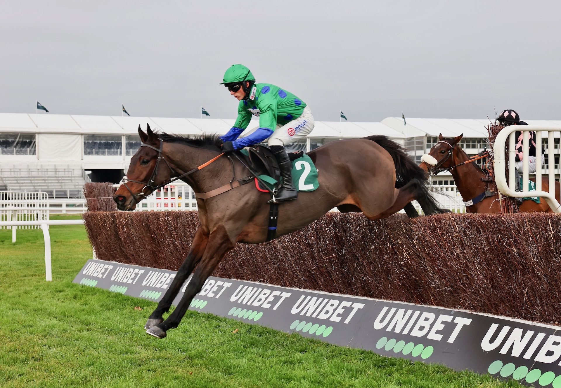 Ginny’s Destiny (Yeats) Wins His Second Novice Chase At Cheltenham