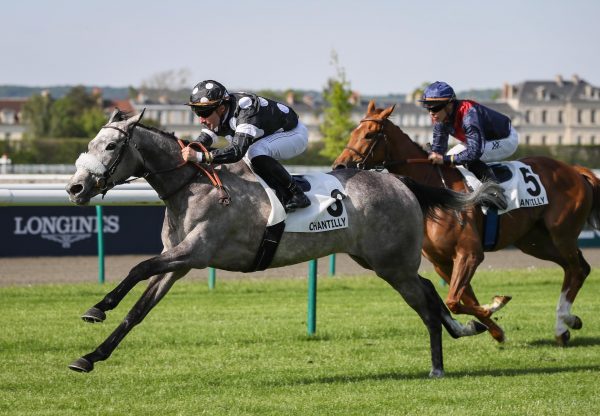 Happy Saxon (Saxon Warrior) Wins At Chantilly