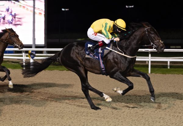 Keeper's Heart (Saxon Warrior) Wins His Maiden at Dundalk