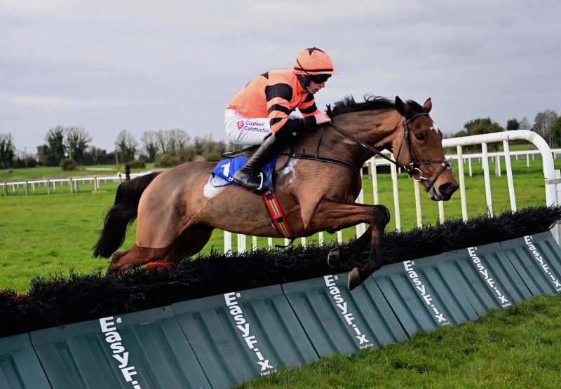 Jetara (Walk In The Park) Wins The Mares Maiden Hurdle At Fairyhouse