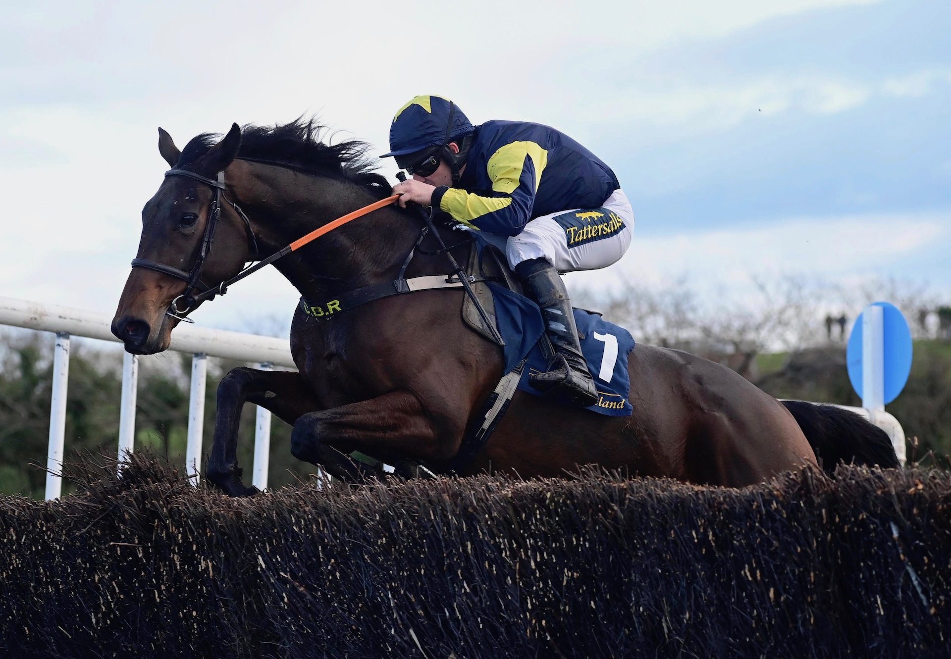 Air Of Entitlement (Westerner) Wins The 4 Yo Maiden At Lingstown