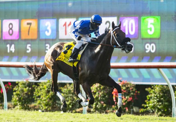 Mo Forza (Uncle Mo) Winning Gr.2 Del Mar Mile At Del Mar