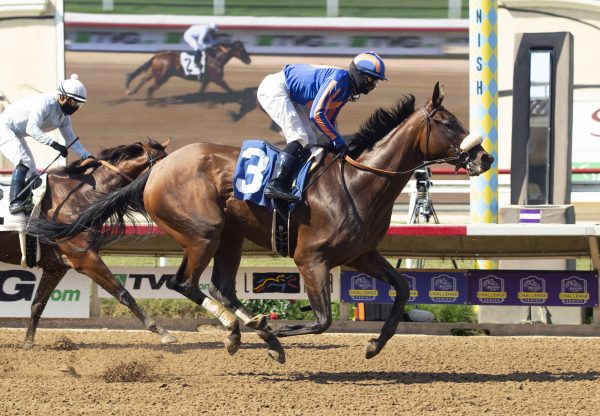 Harvest Moon (Uncle Mo) Wins Gr.3 Torrey Pines At Del Mar