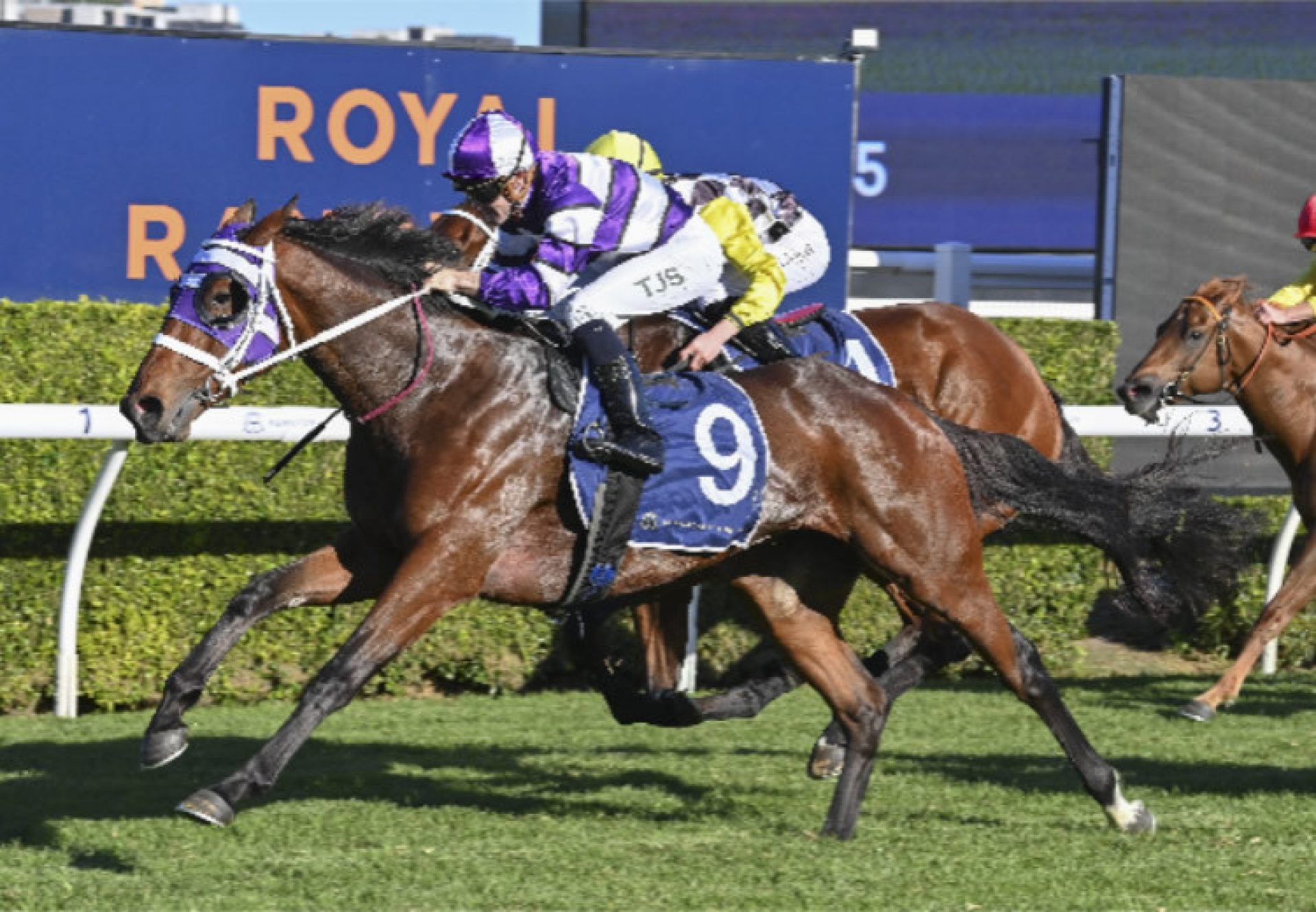 Bright Red (Pierro) wins at Randwick