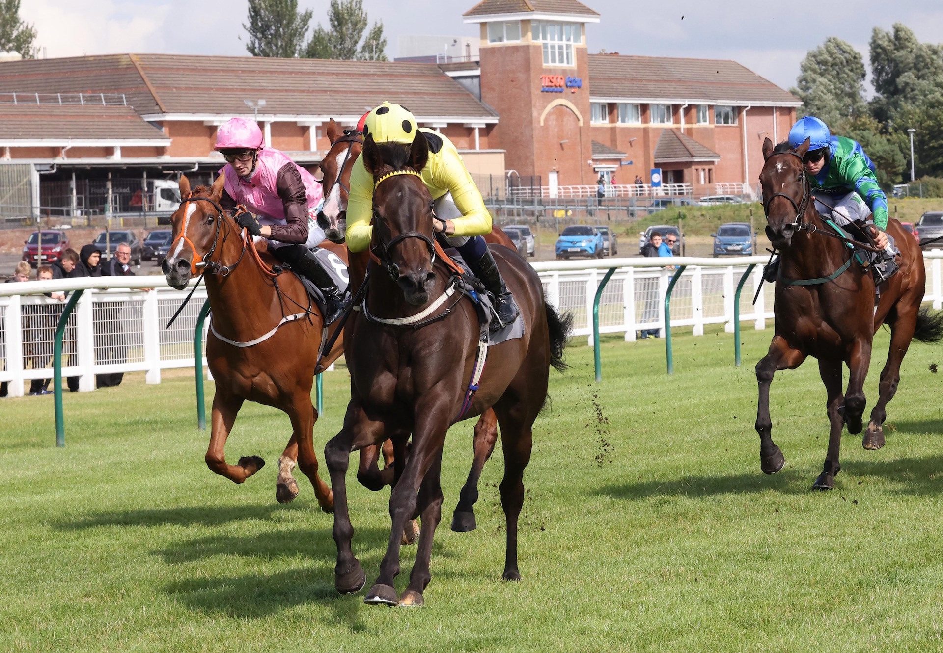 Merlins Lady (Camelot) Makes A Winning Debut At Ayr