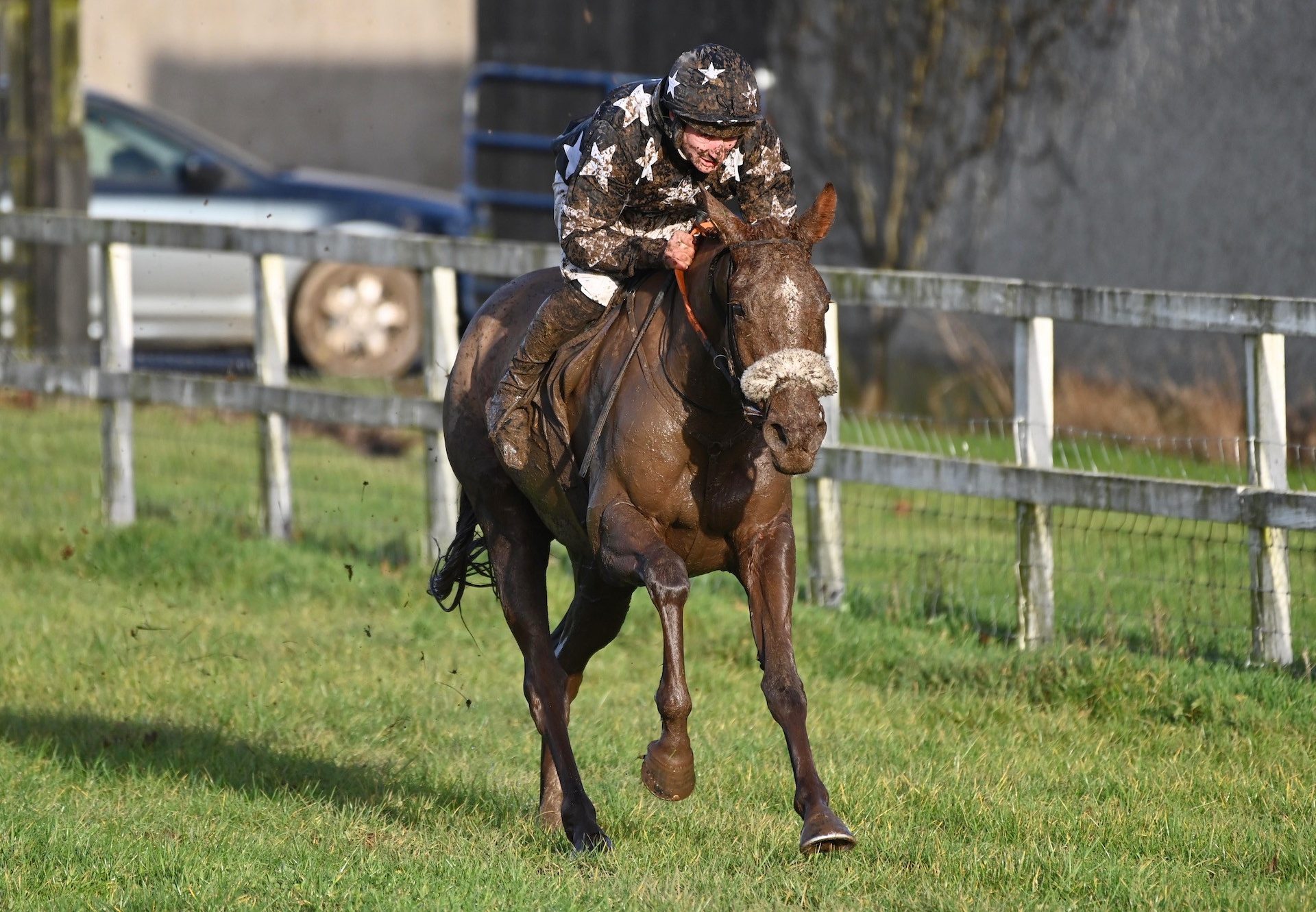 Glendaars Fortune (Soldier Of Fortune) Wins The 5YO Mares Maiden At Tattersalls