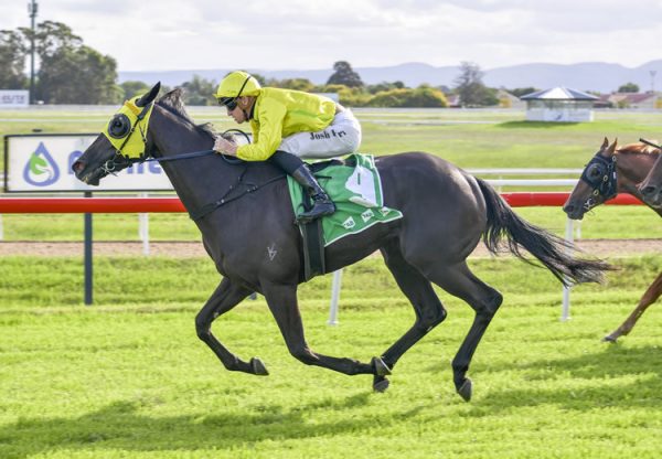 Chenin (Pierro) winning at Hawkesbury