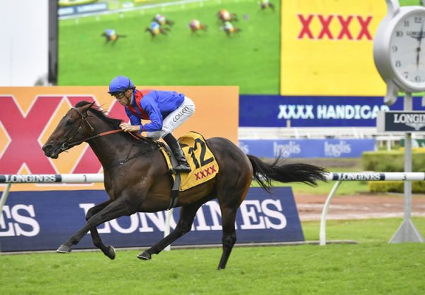 War Eternal (Pierro) winning at Rosehill