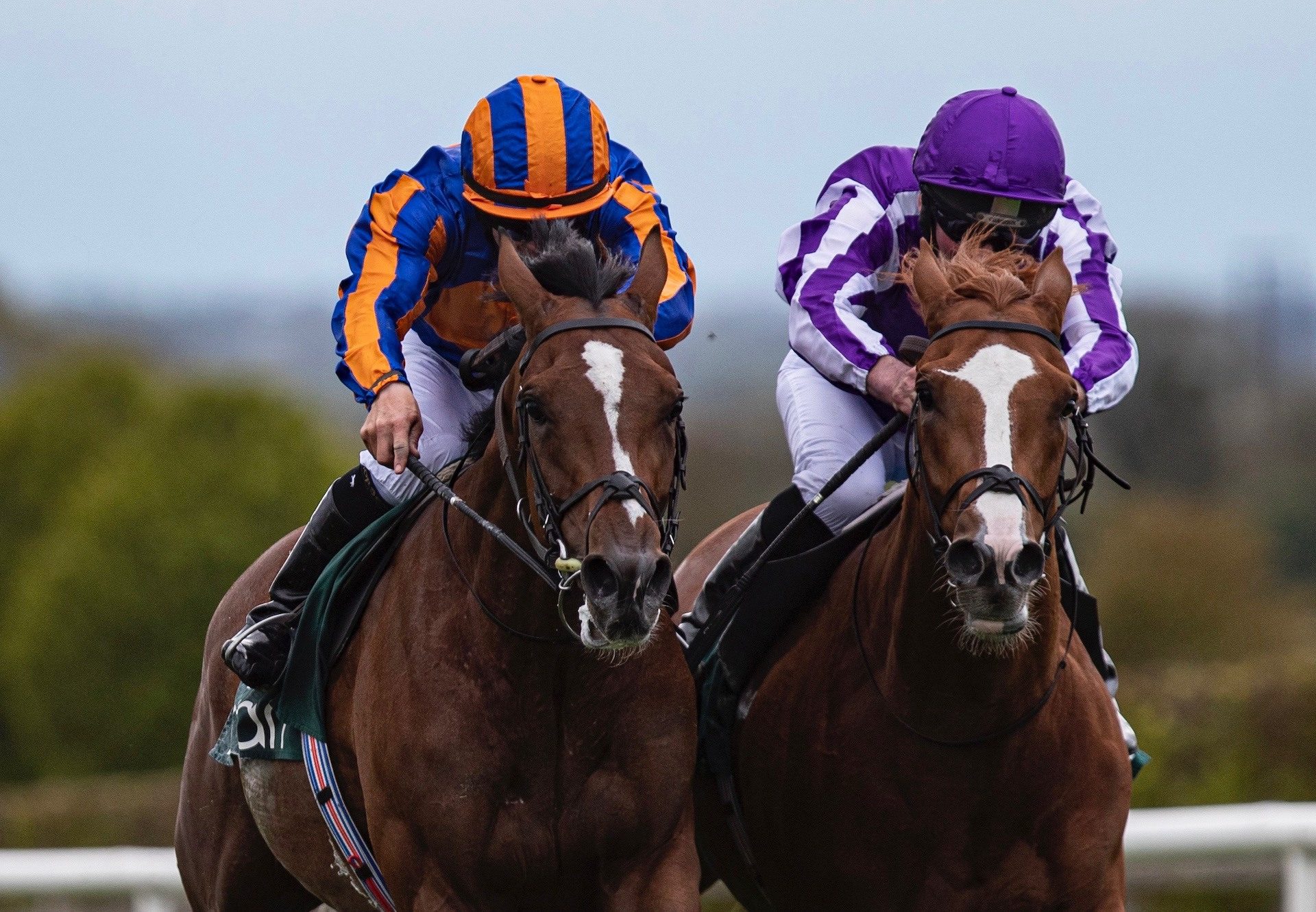 Sir Lucan (Camelot) Wins The Listed Yeats Stakes At Navan