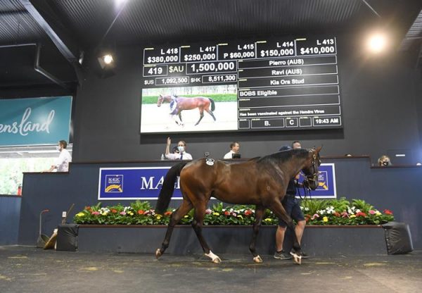 Pierro X Ravi Colt selling for $1.5 million at Magic Millions